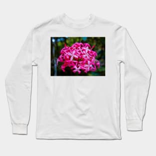 Hot Pink Tropical Cluster Long Sleeve T-Shirt